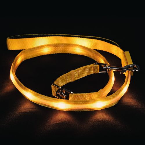 BLAZIN Light Up Dog Leash