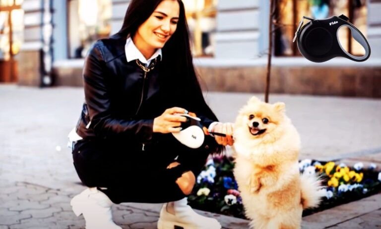 Best Dog Leash Retractable