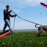 Best Dog Leash for Pitbulls