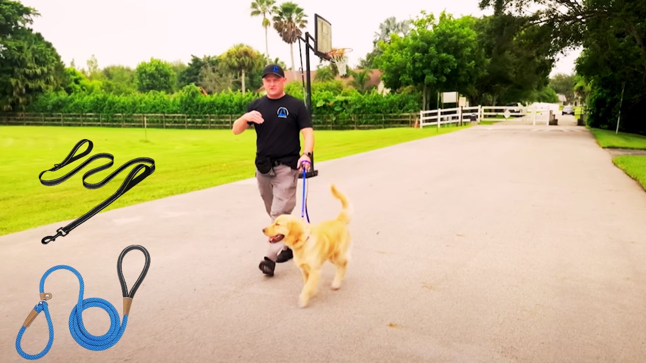 Best Dog Leash for Pullers