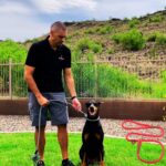 Best Dog Slip Leash