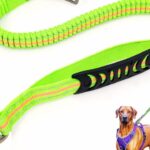 Best Heavy Duty Dog Leash