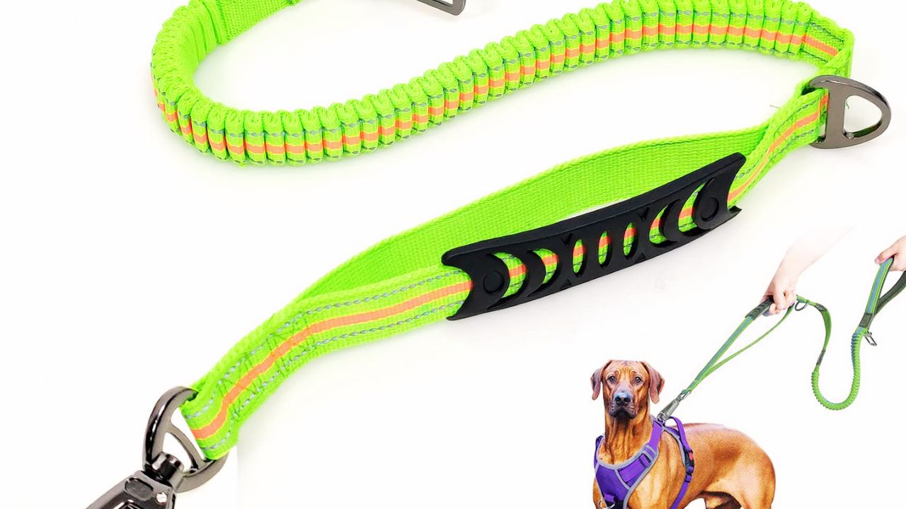 Best Heavy Duty Dog Leash