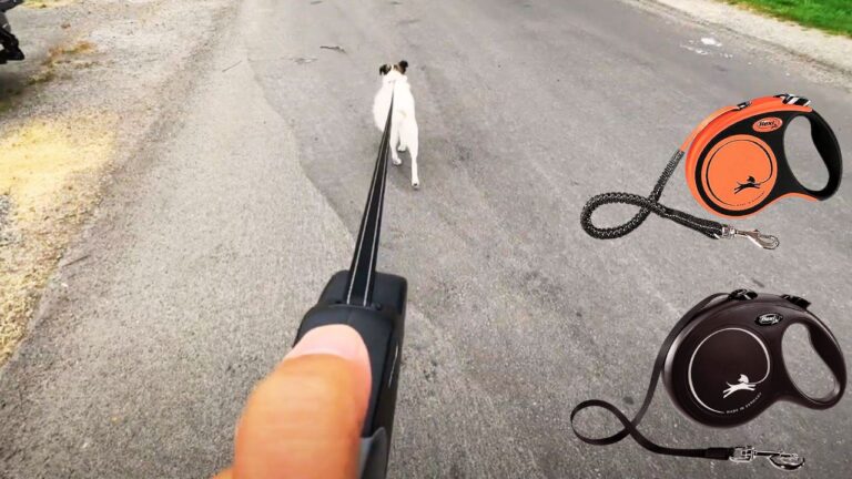 Best Large Dog Retractable Leash