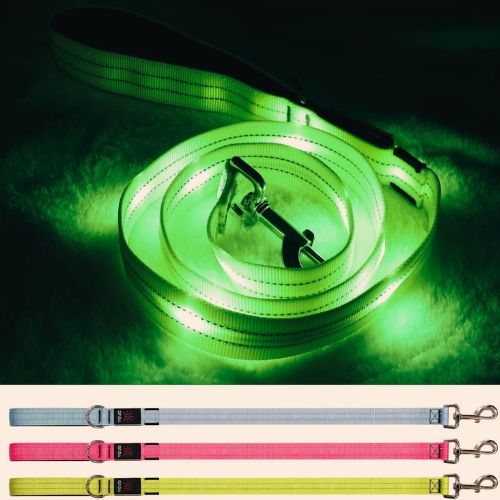 Blinlit Led Light Up Dog Leash