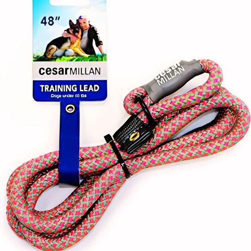 Cesar Millan Slip Lead Leash | Best For Small to medium dogs (under 60 lbs)
