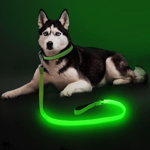 Colaseeme Light Up Dog Leash Review