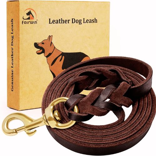 FAIRWIN Braided Leather Dog Leash 6ft – Best for Medium Dogs