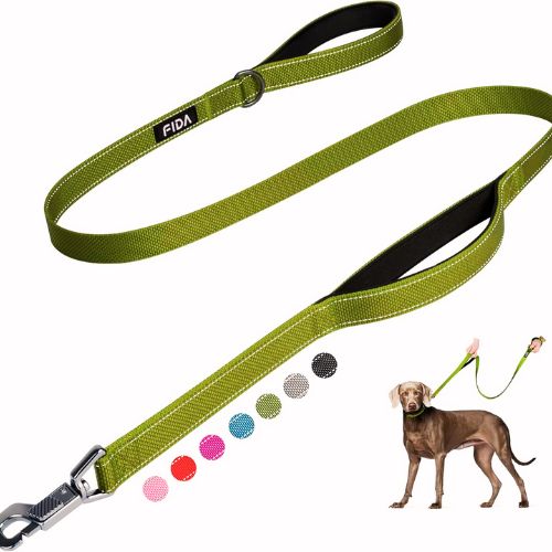 Fida 4FT Heavy Duty Leash with Dual Handles – Best for Pullers