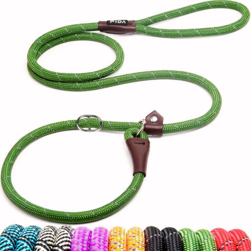 Fida Durable Slip Lead: Best Reflective 6-Ft Leash for Medium & Large Dogs