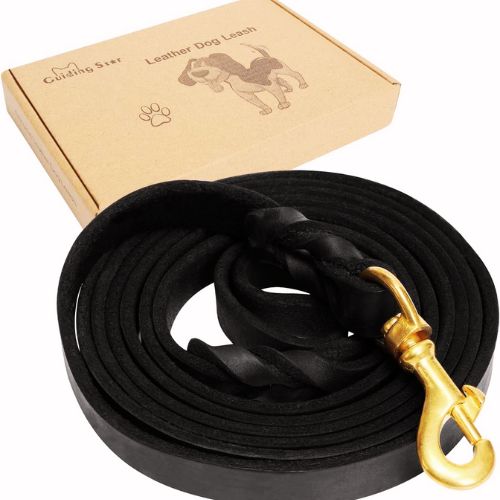 Guiding Star 6ft Leather Dog Leash — Best for Large & Medium Dogs