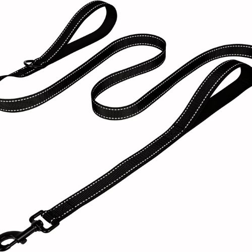 Joytale 6FT Dual-Handle Leash : Best for Strong Pullers with Night VisibilityÂ