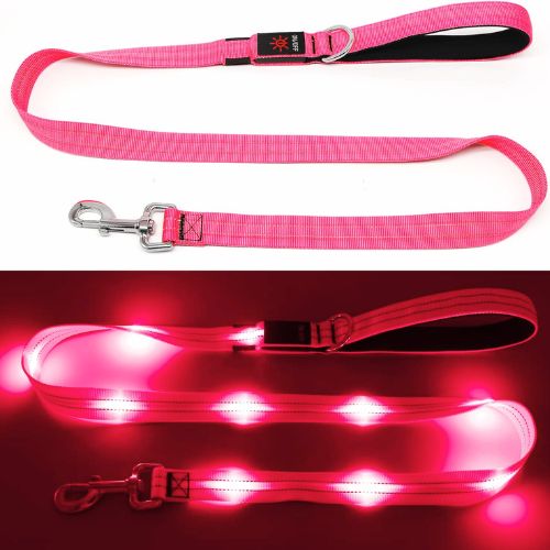 KOSKILL 4 Ft — Best Light Up Dog Leash