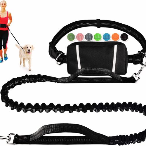 LANNEY Hands Free Dog Leash