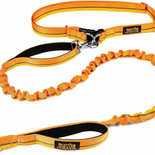 Mighty Paw Hands Free Dog Leash