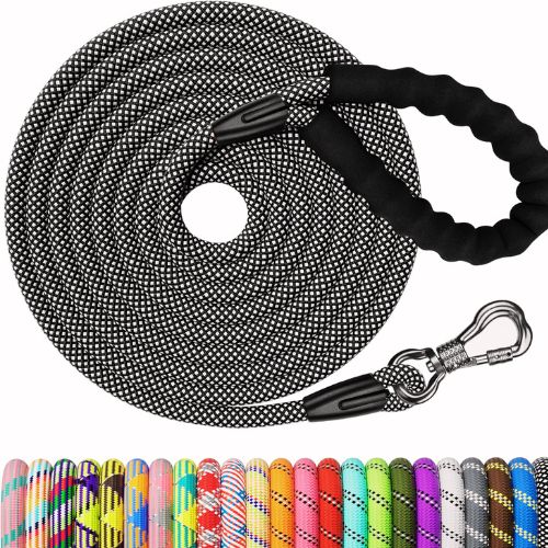 NTR Long Leash for Dog Training – 100FT