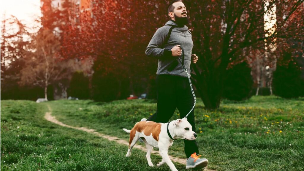 1. Dogs Walk Faster Than We Do