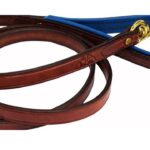 Best Amish Leather Dog Leash (2025)