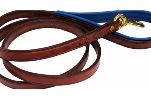 Best Amish Leather Dog Leash (2025)