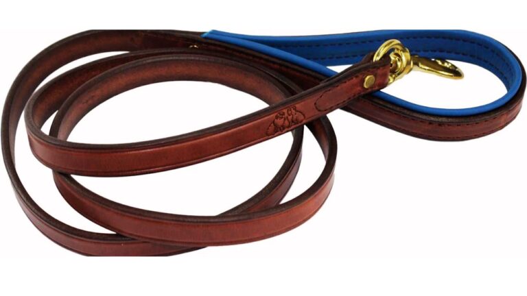 Best Amish Leather Dog Leash (2025)