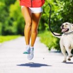 Best Dog Leash for Running
