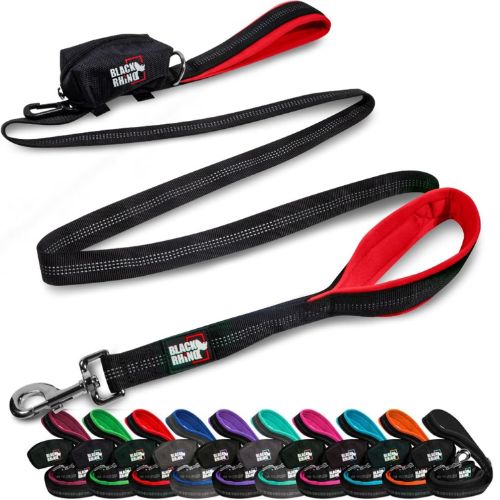 Black Rhino Leash – Best Traffic Control Leash for Big Dogs