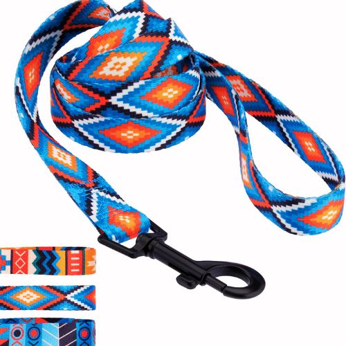 CollarDirect Nylon Dog Leash – 5ft Tribal Pattern