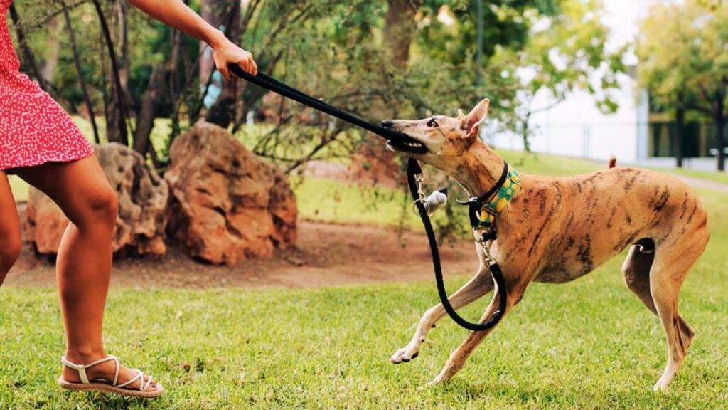 Don’t Tug — Just Stop