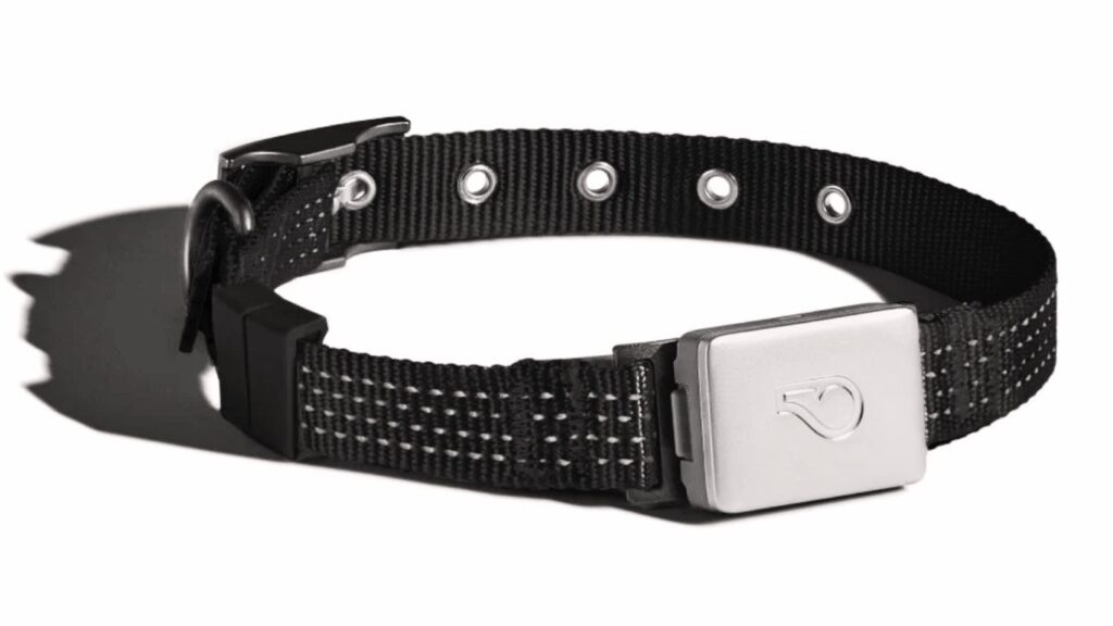 GPS Tracker Collar