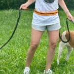 Hands Free Dog Leash for Two Dogs