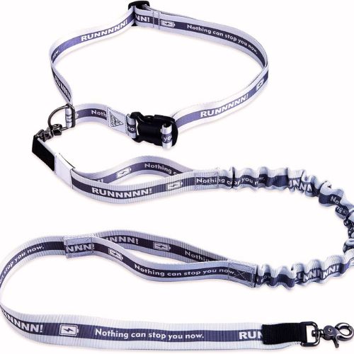 Hands-Free Jogging Leash for Medium & Large Dogs
