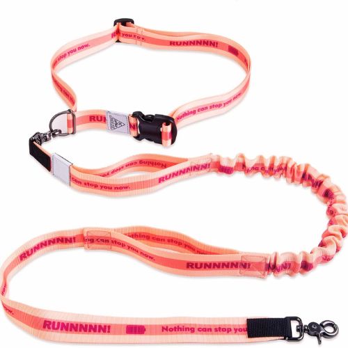 JC HOUSE Hands-Free — Best Dog Leash for Running