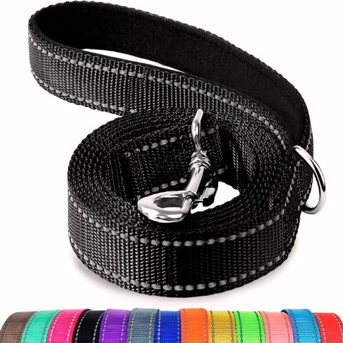 Joytale Double-Sided Reflective Dog Leash – 6 FT