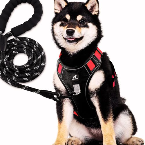 KAIYIKAPET No Pull Harness with Heavy Duty 5ft Leash