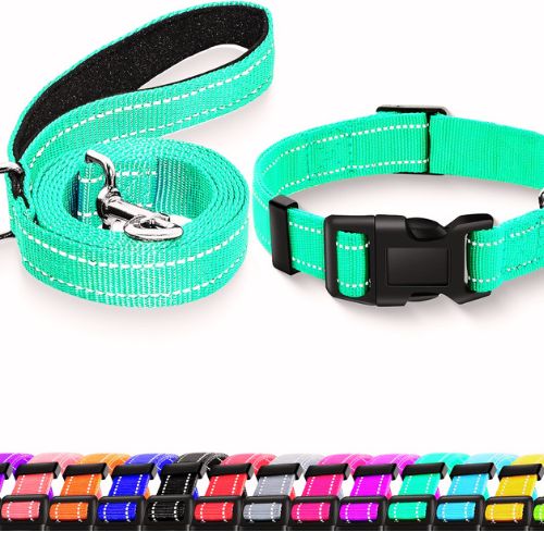 Maiiu Reflective Dog Collar + Leash (XS, Turquoise)