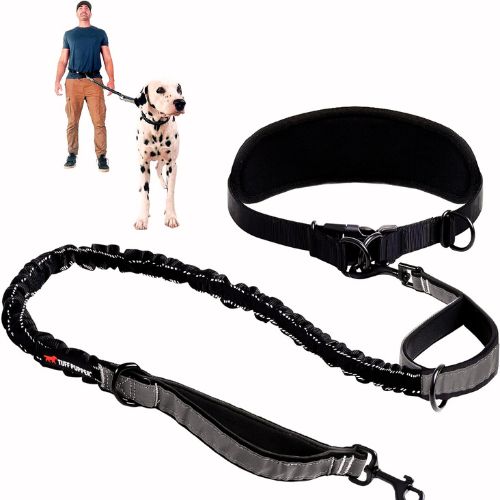 Mile High Life Hands-Free Waist Leash (Purple, 7FT)