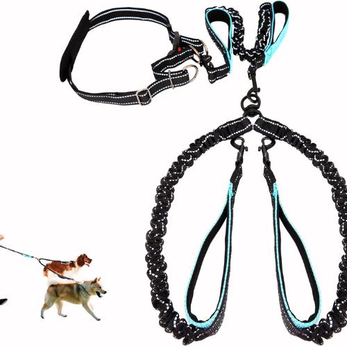MingXpets Hands Free Dog Leash for Two Dogs