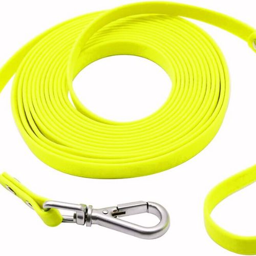 NIMBLE Long Waterproof Dog Leash – My Favorite for Beach & Backyard Freedom