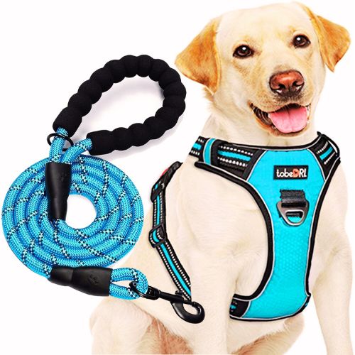 No Pull Dog Harness Adjustable Reflective Oxford with Free Heavy Duty 5ft Leash