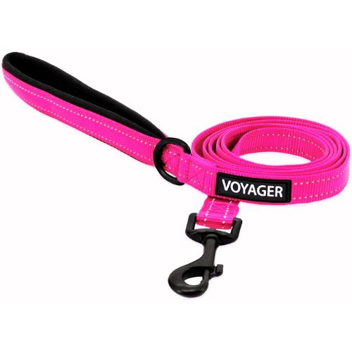 PetSafe Nylon Dog Leash
