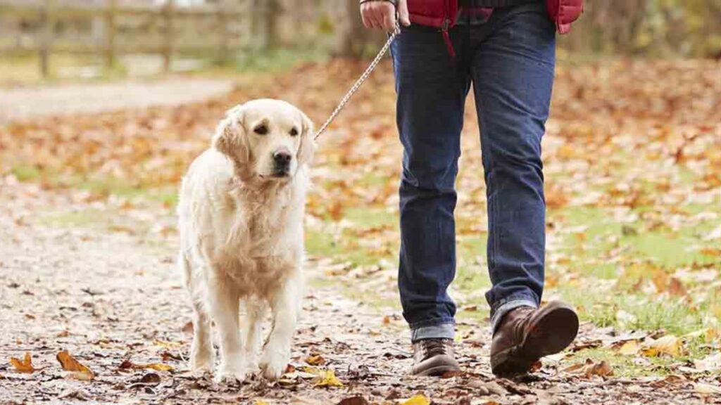 Practice Short Walks