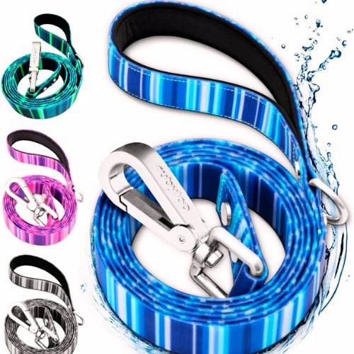 Rubyloo Waterproof Dog Leash – 1" Blue