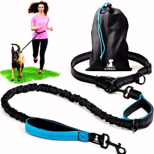 SparklyPets Hands-Free Dog Leash – My Honest Take