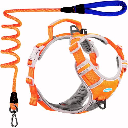 ThinkPet No Pull Harness Set — Honest Review
