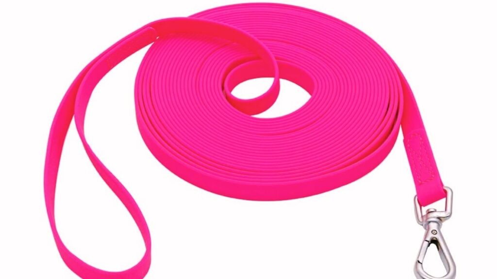 Tools, Gear & Leash Transitioning