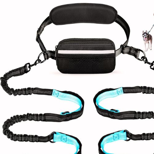 Uppetly Hands-Free Running Leash — Best Dog Leash for Active Labradors