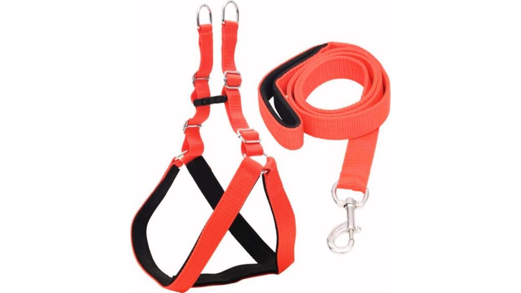 Use Better Leash & Harness