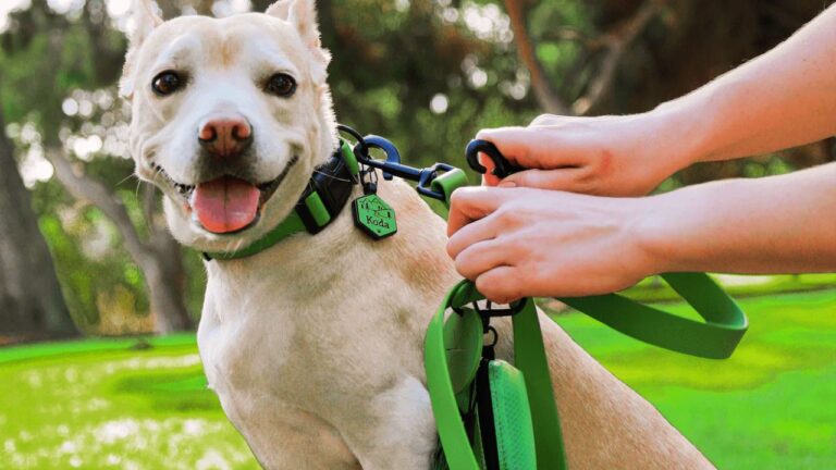 Waterproof Dog Leash