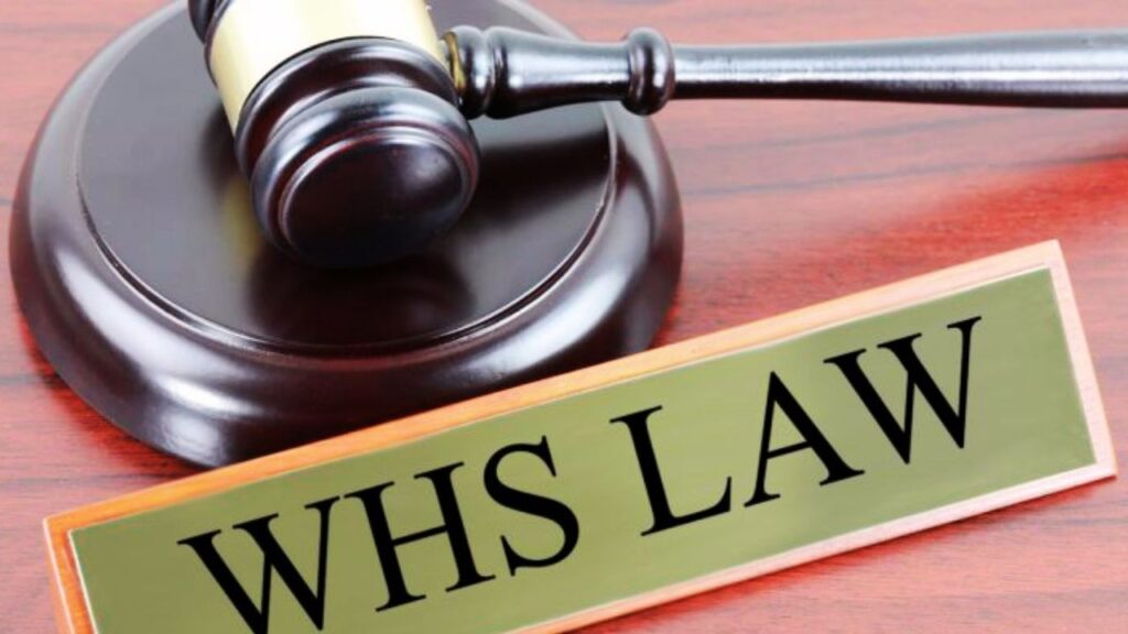 What the Law Says?
