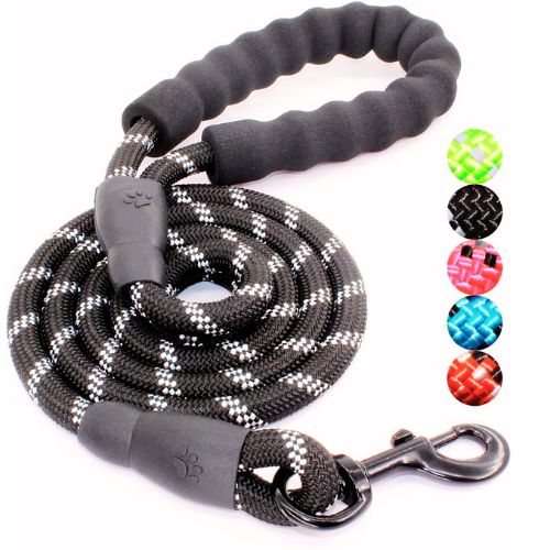 BAAPET 5FT Padded Handle Dog Leash